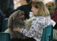 Sue Travis smiles as her portuguese water dog as he jumps on her lap at the "meet the breeds" event at the Ingham County Kennel Club on Nov. 27, 2015 in the MSU pavilion in Lansing, Michigan. "I've been in the dog show world since I was 20. The dogs can tell when they do well, they really can. I love seeing their enthusiasm," Travis shared.
